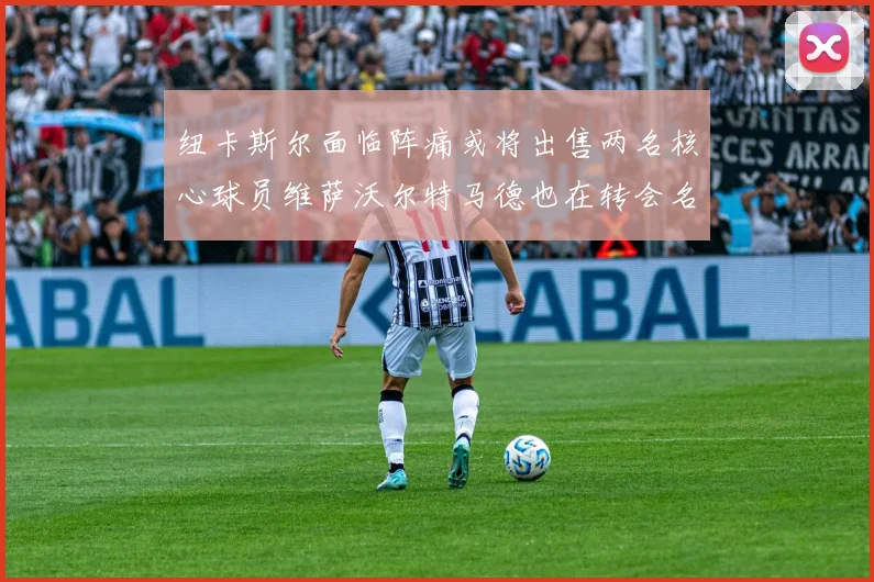 纽卡斯尔面临阵痛或将出售两名核心球员维萨沃尔特马德也在转会名单上