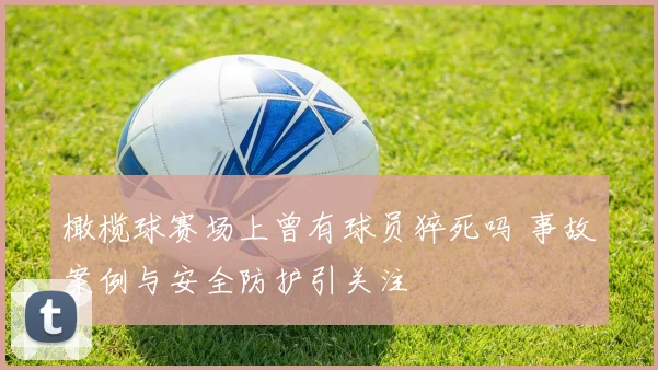 橄榄球赛场上曾有球员猝死吗 事故案例与安全防护引关注